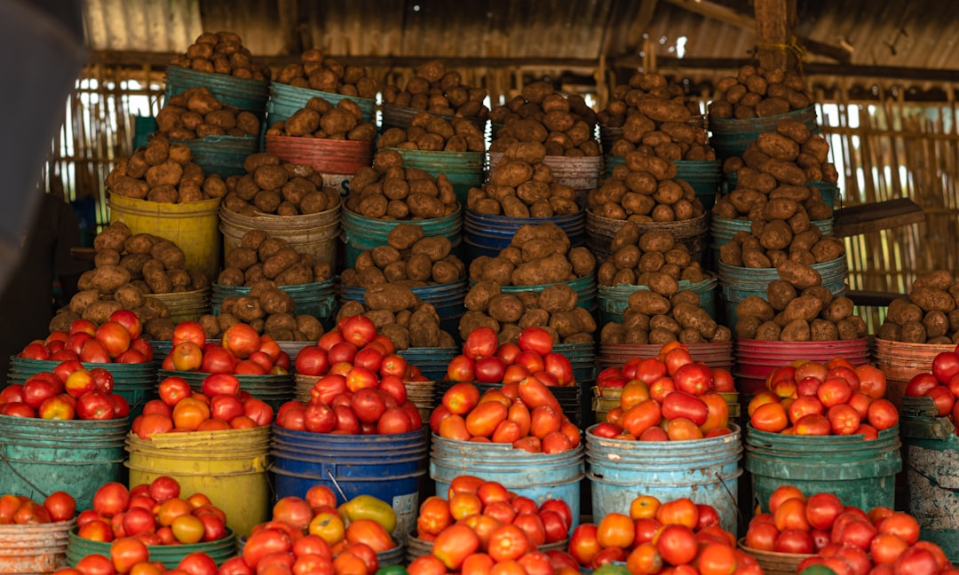 The Explosive Growth of Global Food Trade (Image Credits: Unsplash)