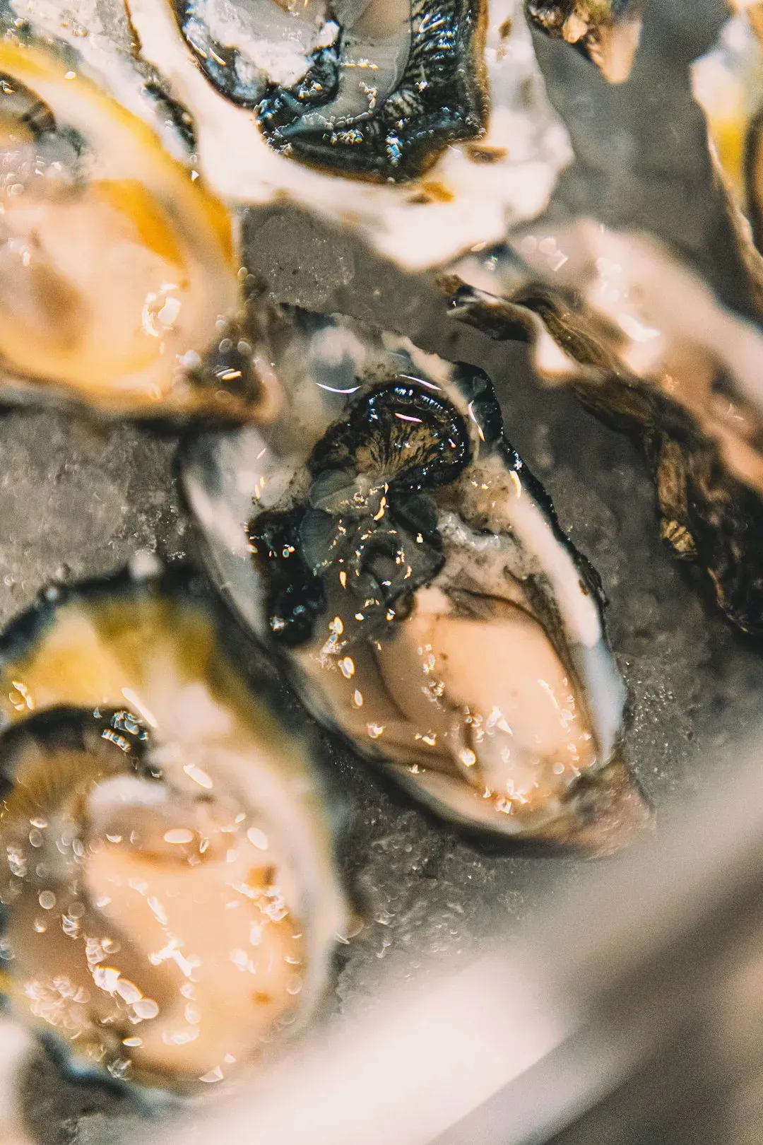 Fresh Oysters: The Perfect Starter (Image Credits: Unsplash)