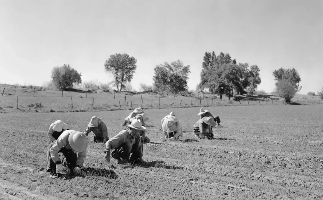 The Labor Crisis No One Wants to Talk About (Image Credits: Unsplash)