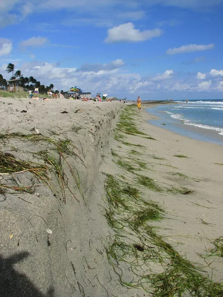 Beach Erosion Has Shrunk the Coastline Dramatically (Image Credits: Flickr)