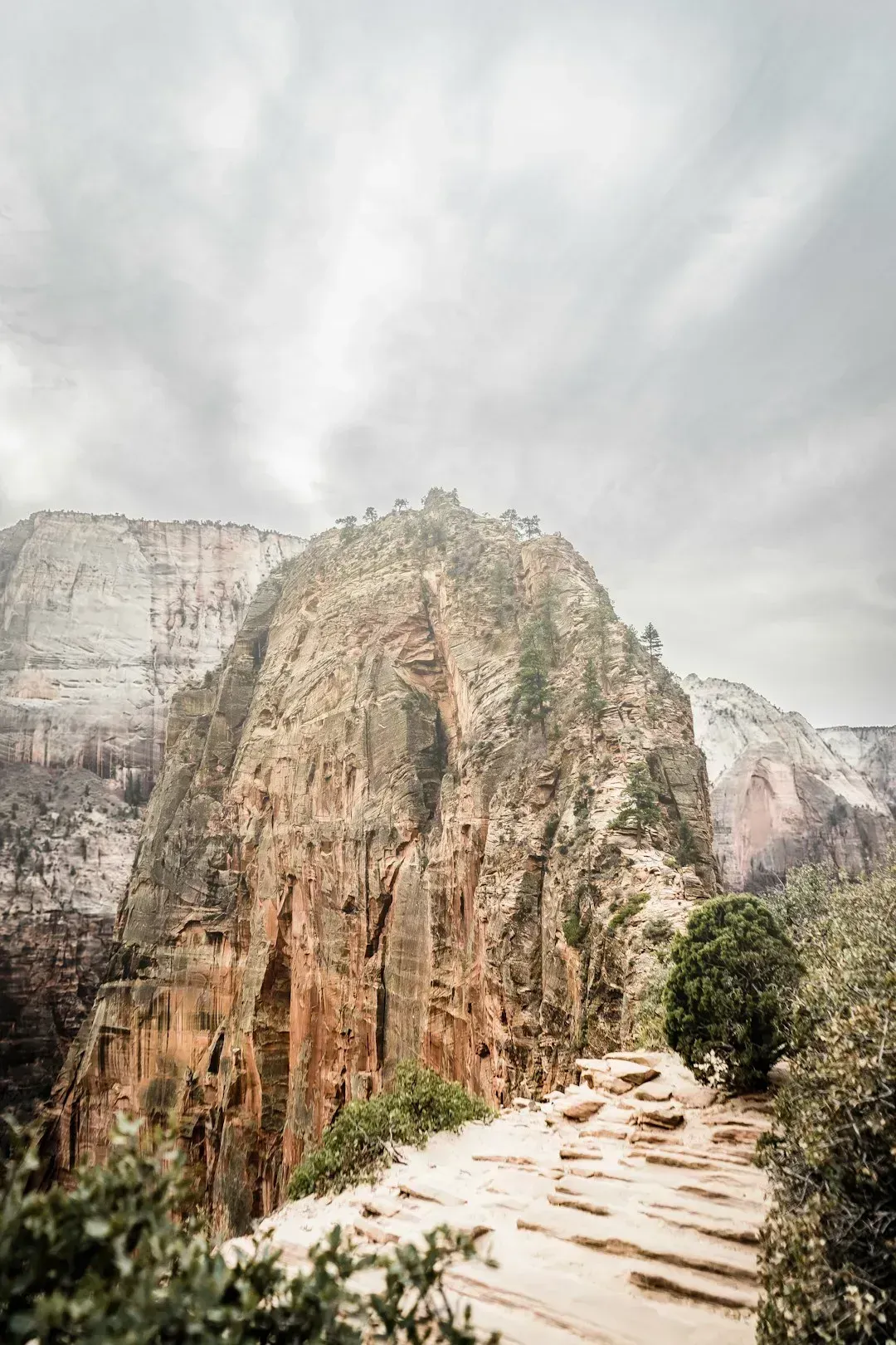 1. Angels Landing, Zion National Park (Image Credits: Unsplash)