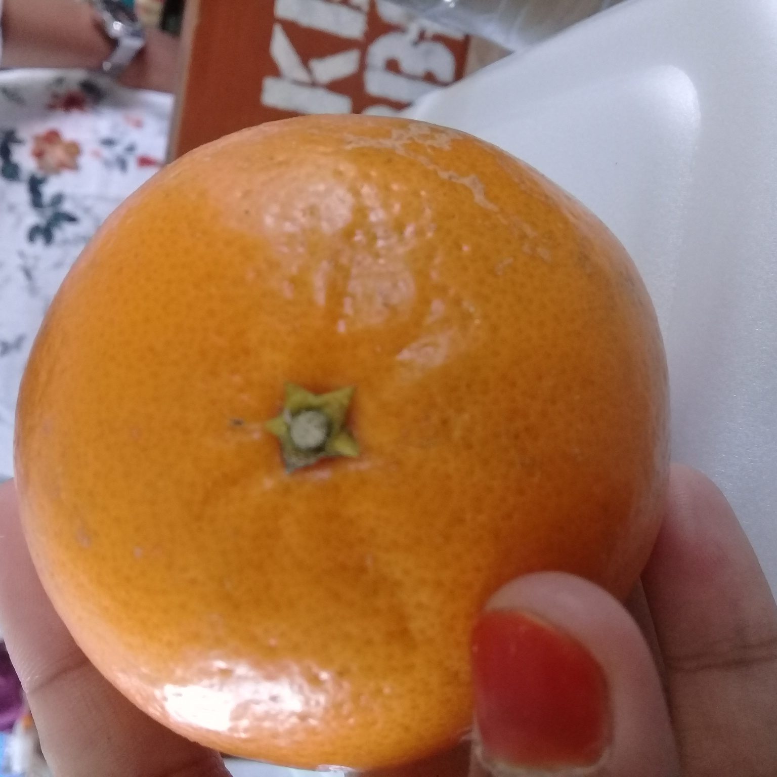 Oranges: The Classic Vitamin C Sources (Image Credits: Wikimedia)