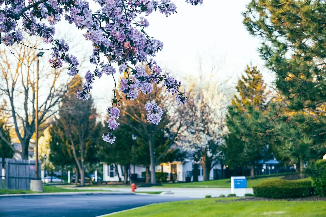 9. The Snowbird Effect Disrupts Year-Round Community Life (Image Credits: Unsplash)