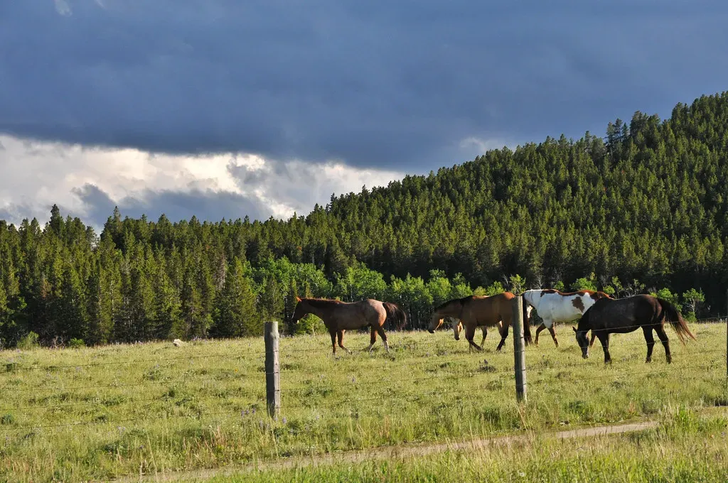 Wyoming: Tax Havens Aren't Just Offshore (Image Credits: Flickr)