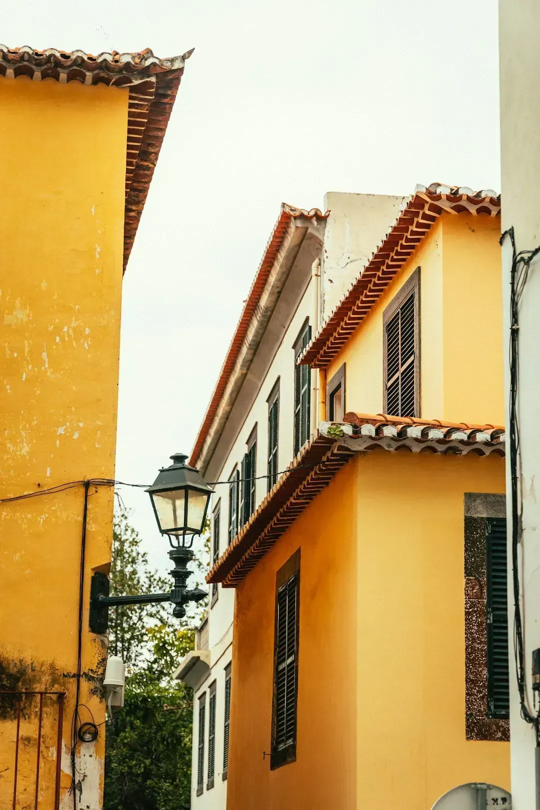 1. Bright, Saturated Yellow (Image Credits: Unsplash)