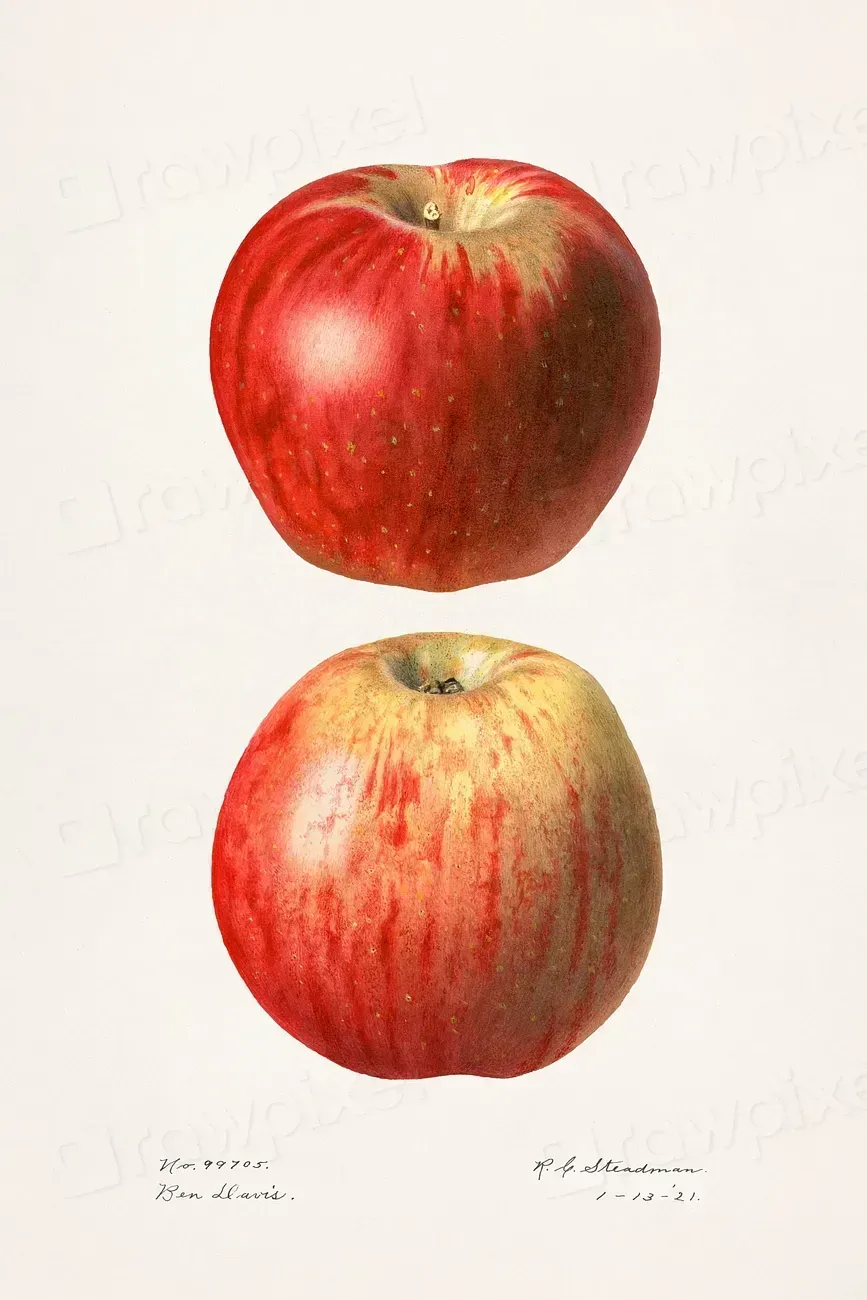 The Importance of Eating the Whole Apple (Image Credits: Rawpixel)
