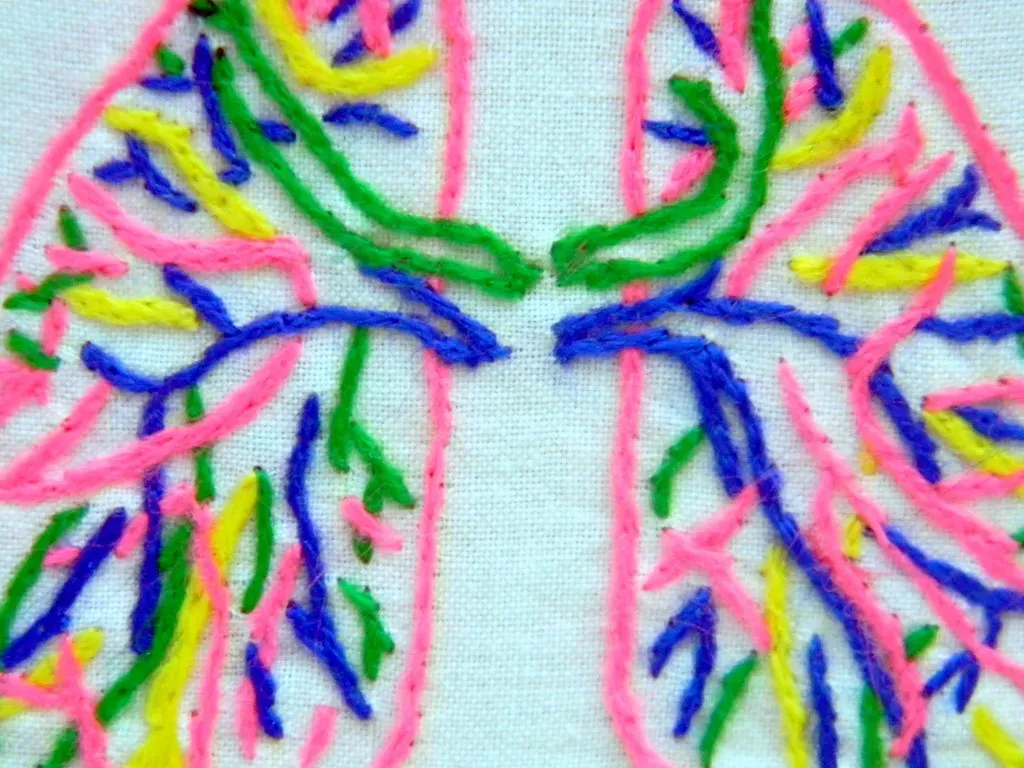 Create Decorative Wall Art and Textile Hangings (Hey Paul Studios, Flickr, CC BY 2.0)