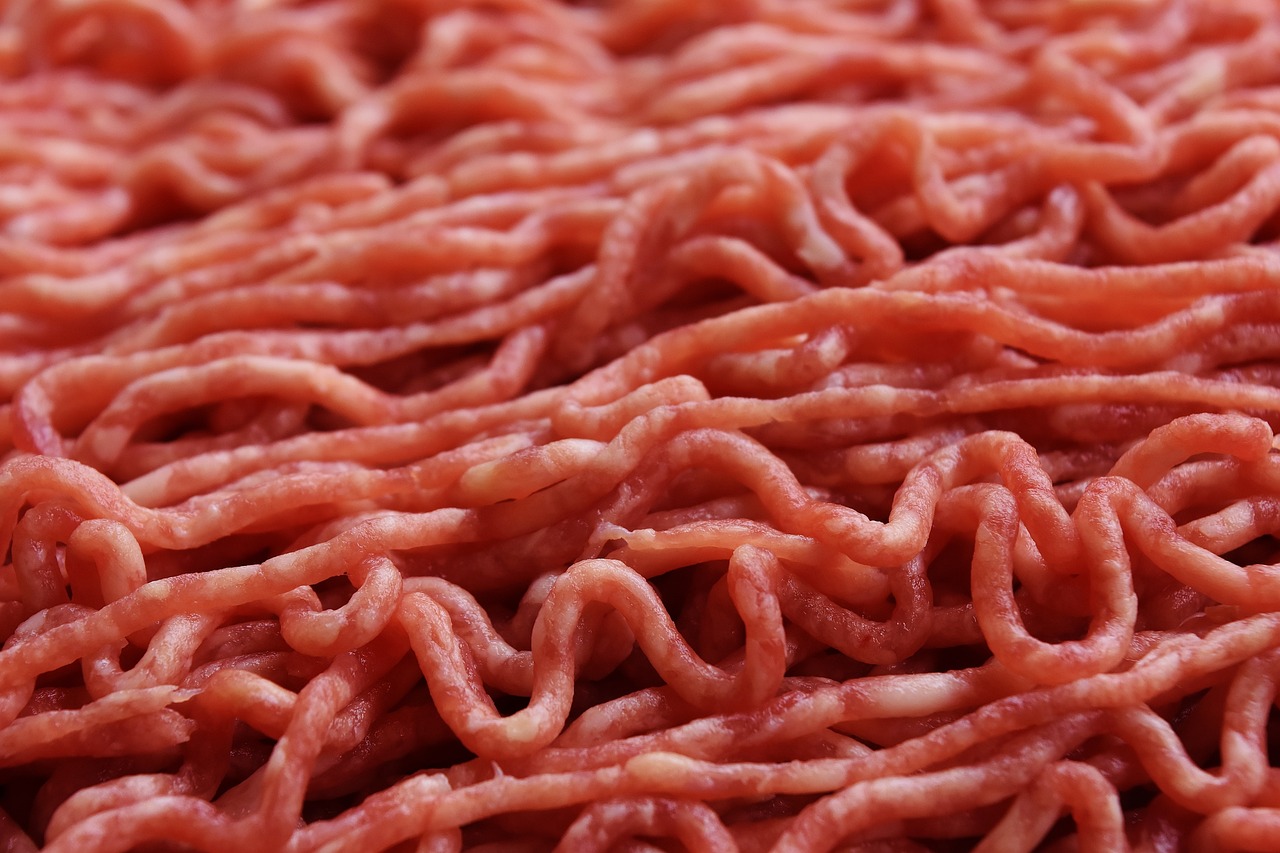 Ground Meat and Poultry - The Temperature Race Against Bacteria (Image Credits: Pixabay)