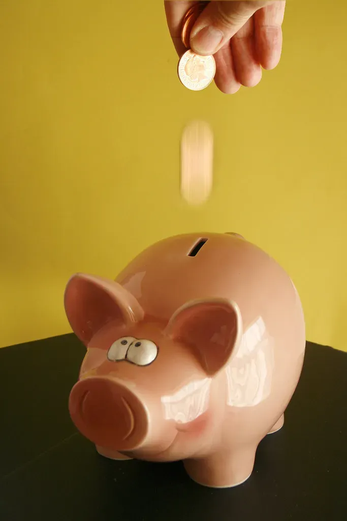 2. You're Handing Up Free Money to the Bank (Alan Cleaver, Flickr, CC BY 2.0)