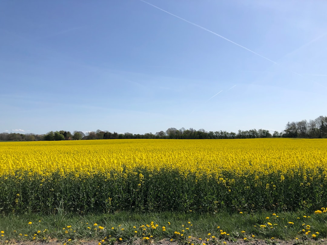 Denmark Pioneers Climate-Smart Agricultural Policies (Image Credits: Unsplash)