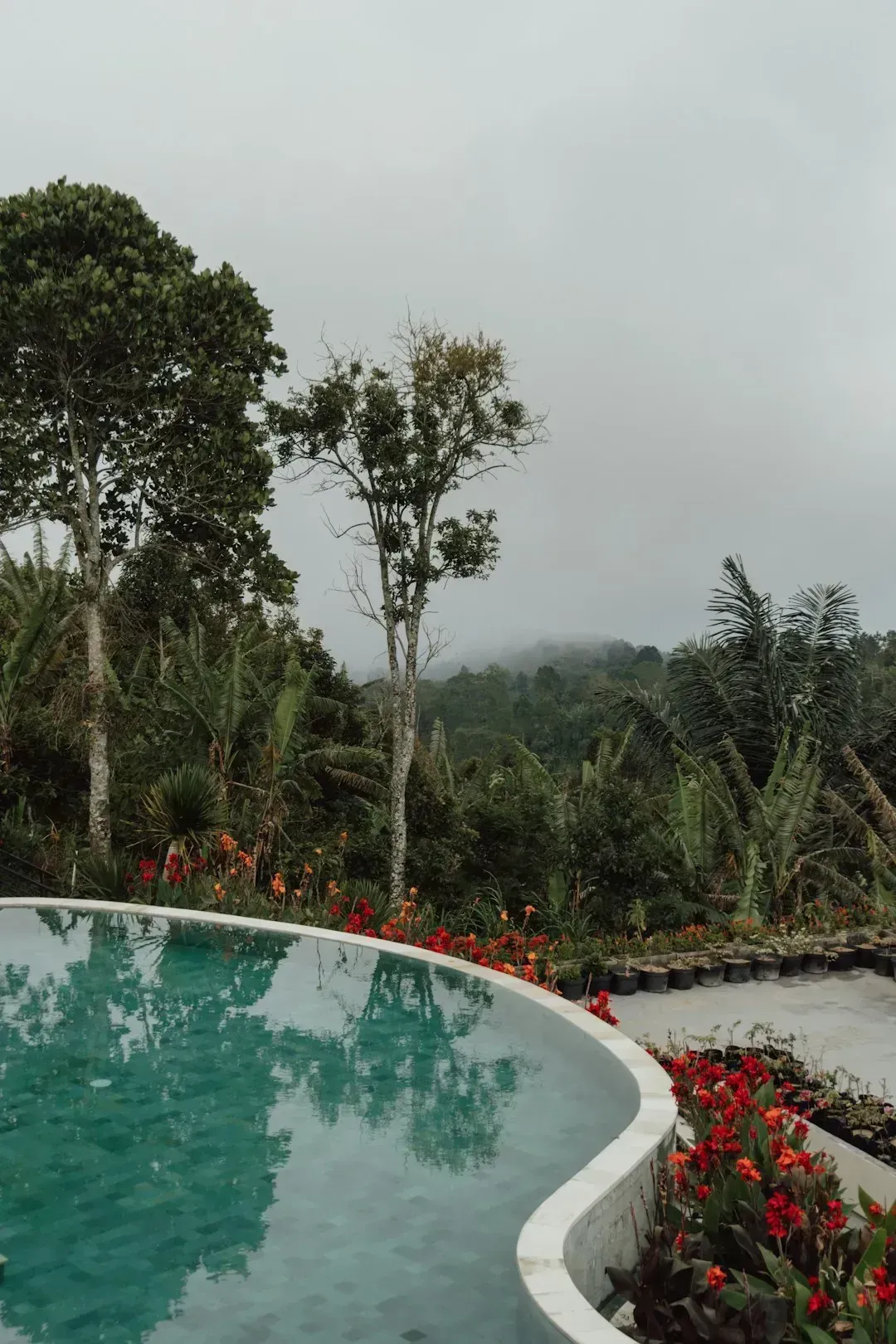 Indonesia: Tropical Living Redefined (Image Credits: Unsplash)