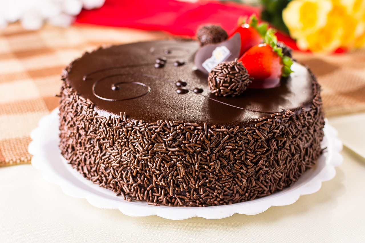 Mud Pie (image credits: pixabay)