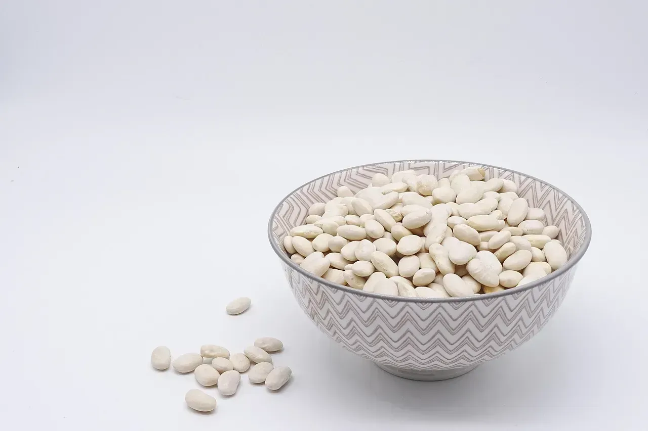 The Beans Come Dried and Get Rehydrated Daily (Image Credits: Pixabay)