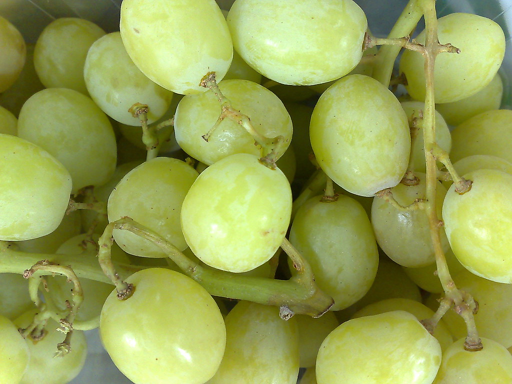 Grapes - Tiny Candy Balls in Nature's Wrapper (image credits: flickr)