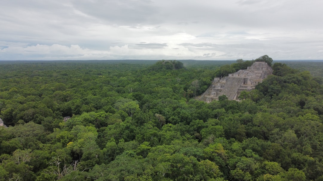 Amazon's Lost Cities Rise From Jungle Floor (Image Credits: Unsplash)