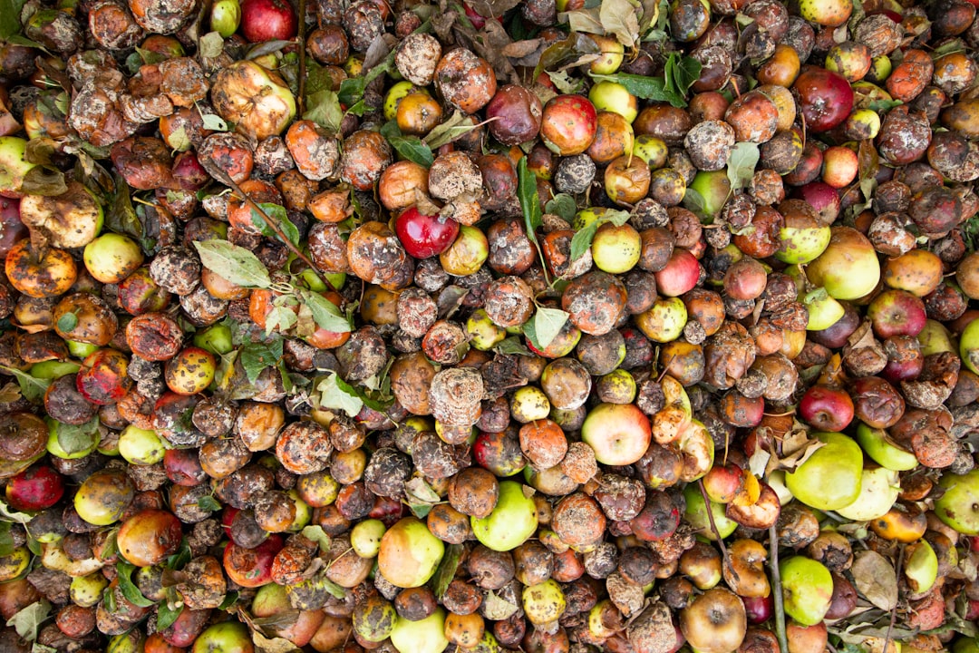 India's Massive Scale of Food Waste (Image Credits: Unsplash)