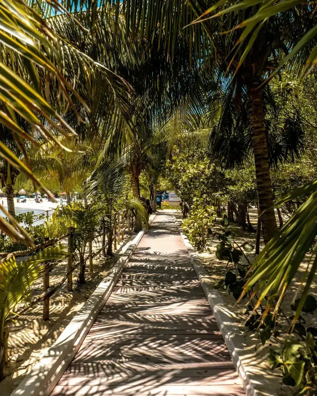 Overdevelopment Is Destroying What Made It Special (Image Credits: Unsplash)