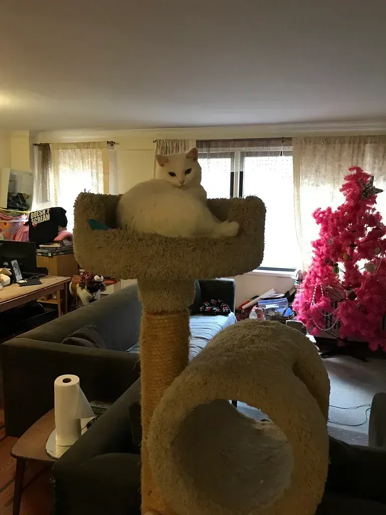 Minimalist Aesthetics Have Hit Saturation Point (Image Credits: Flickr)