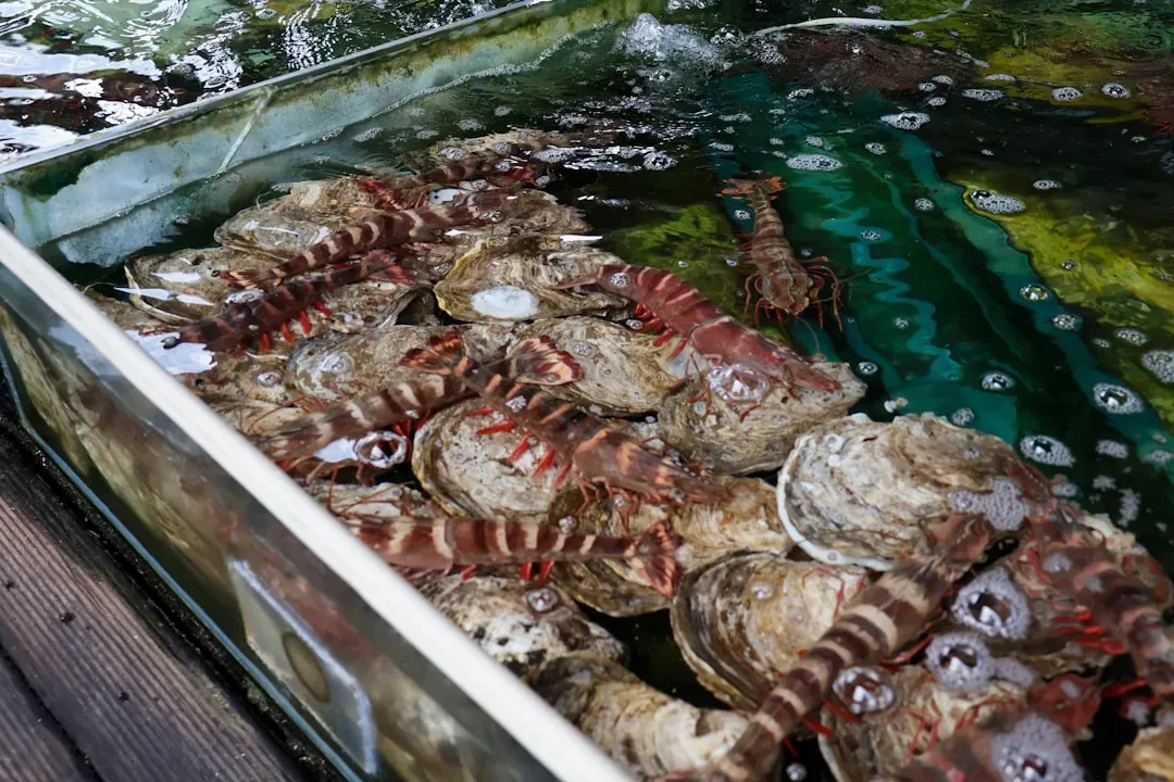 Live Tank Seafood (Image Credits: Unsplash)