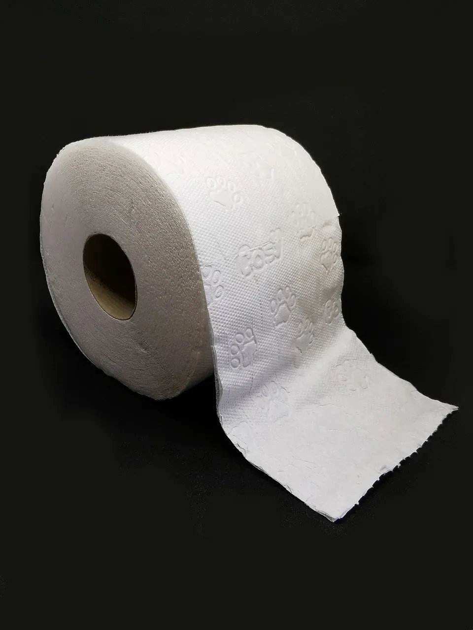 7. Toilet Paper (Image Credits: Pixabay)