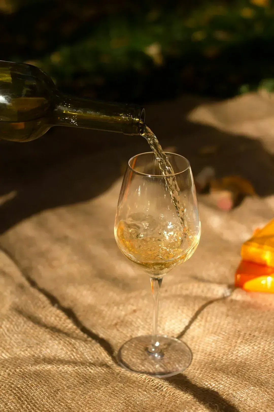 Martín Códax Albariño, Rías Baixas, Spain (Around $13–$16) (Image Credits: Unsplash)