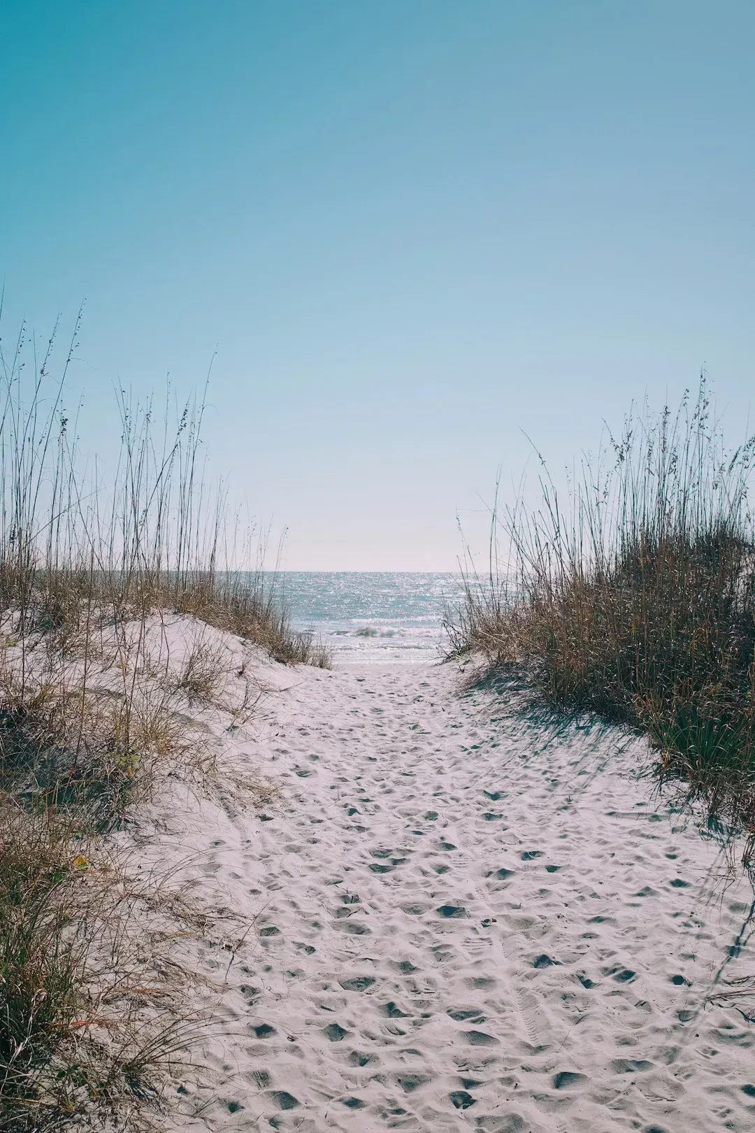 South Carolina: The Affordable Coastal Alternative (Image Credits: Unsplash)