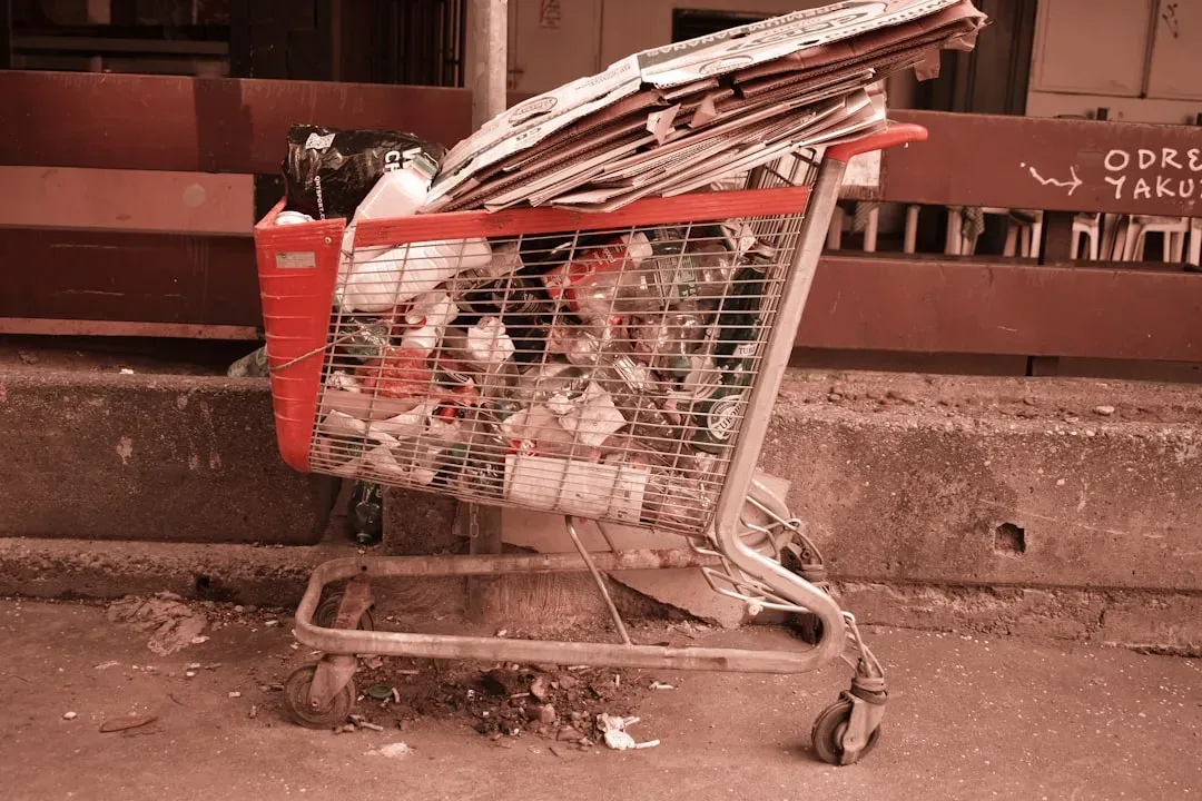 6. The Oversized Cart Is Working Against You (Image Credits: Unsplash)