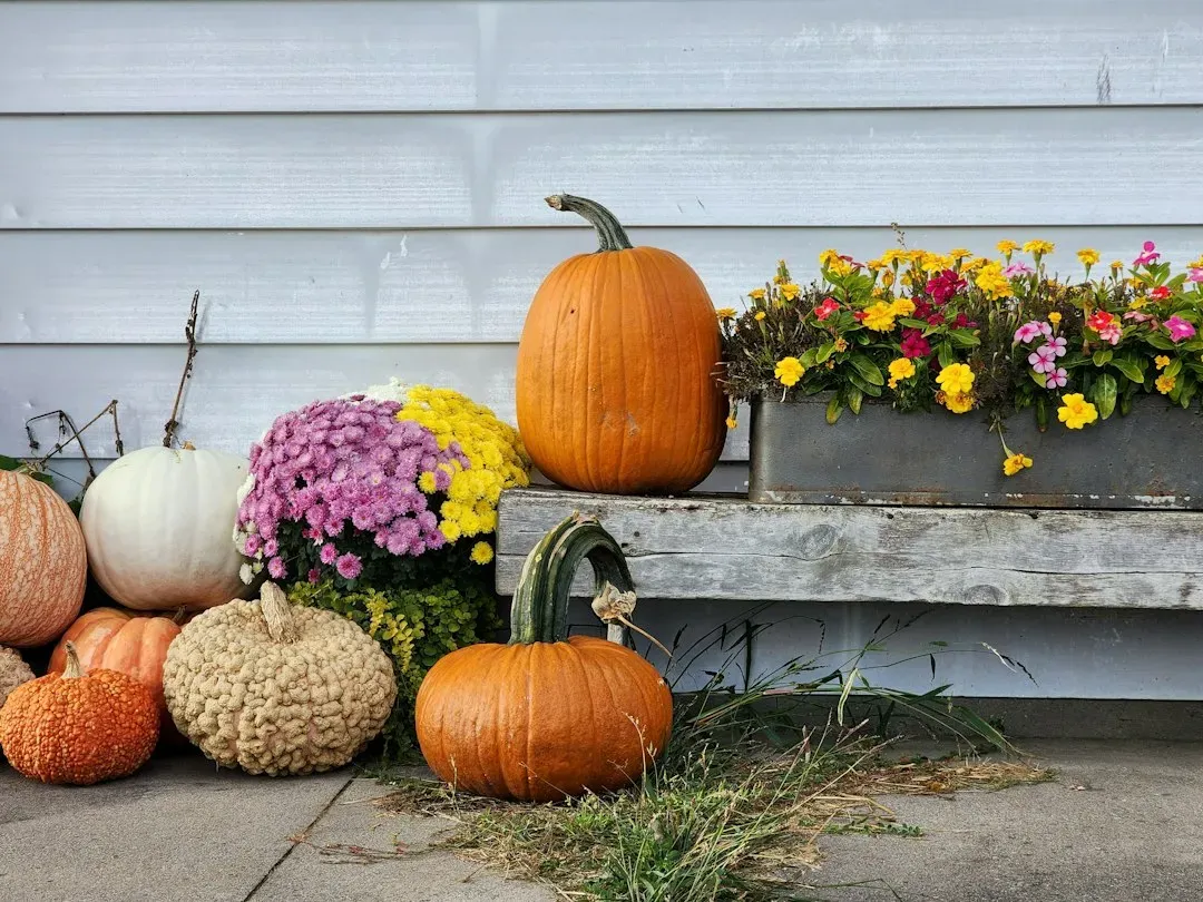 Fall: Foraged Leaves, Berries, and Pumpkins (Image Credits: Unsplash)