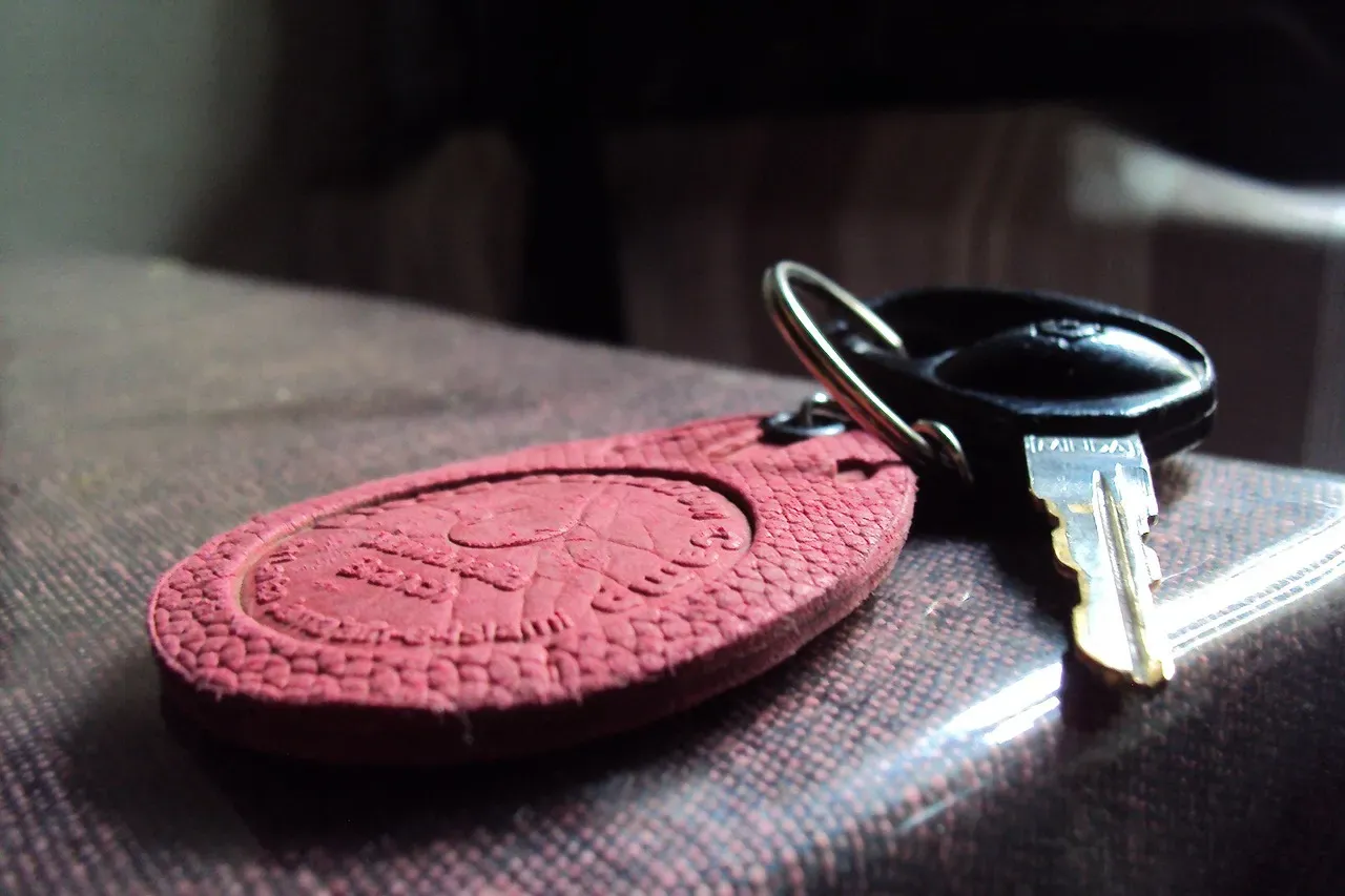 Leather or Faux Leather Accessories (Image Credits: Pixabay)