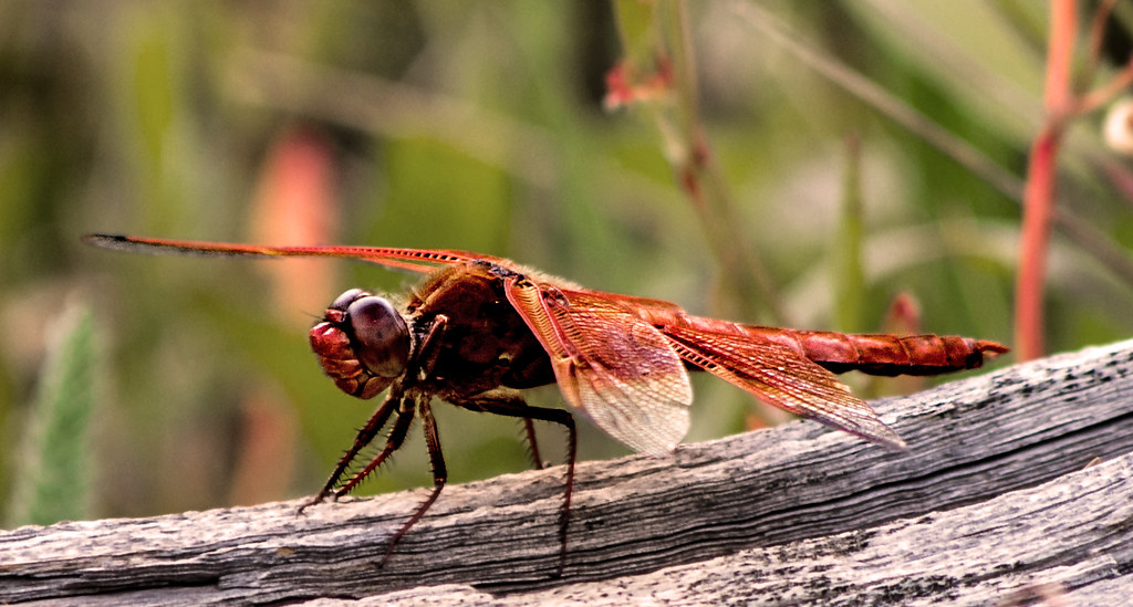 Technical Innovations Address Consumer Concerns (Image Credits: Flickr)