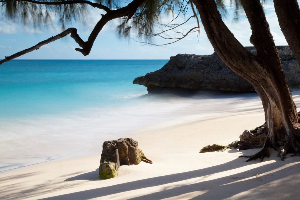 Barbados - Caribbean Paradise at Premium Prices (Image Credits: Rawpixel)