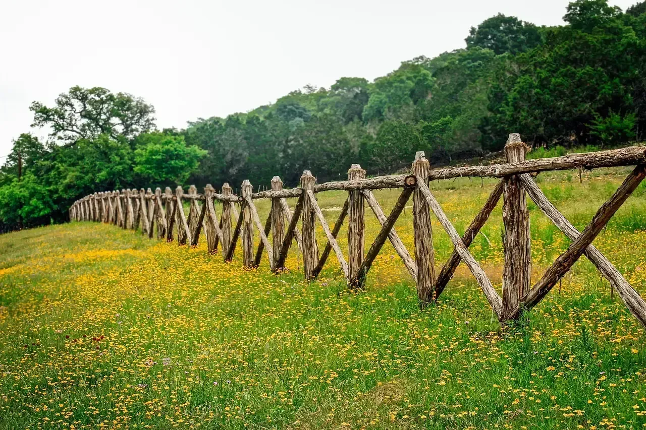 Brownsville, Texas: Border Town with Big Savings (Image Credits: Pixabay)