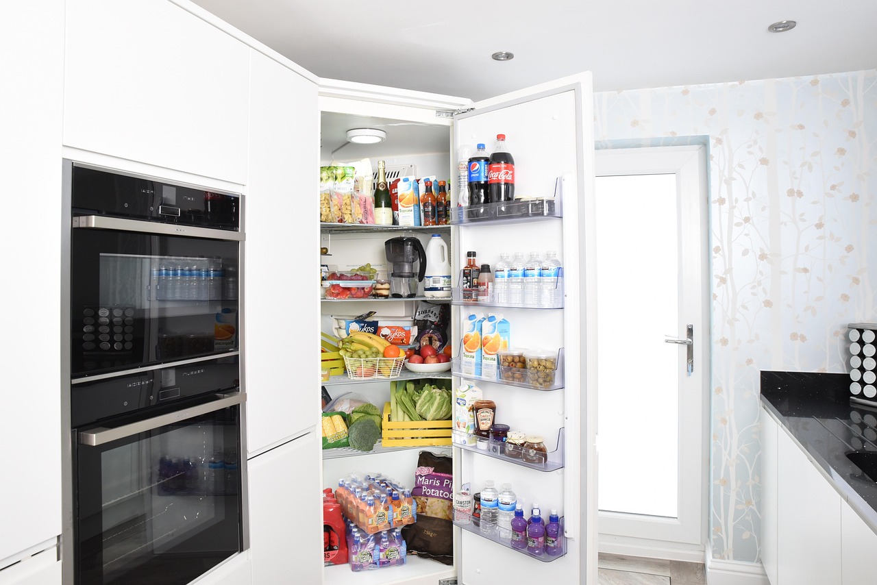 Fridgescaping Obsession (Image Credits: Pixabay)