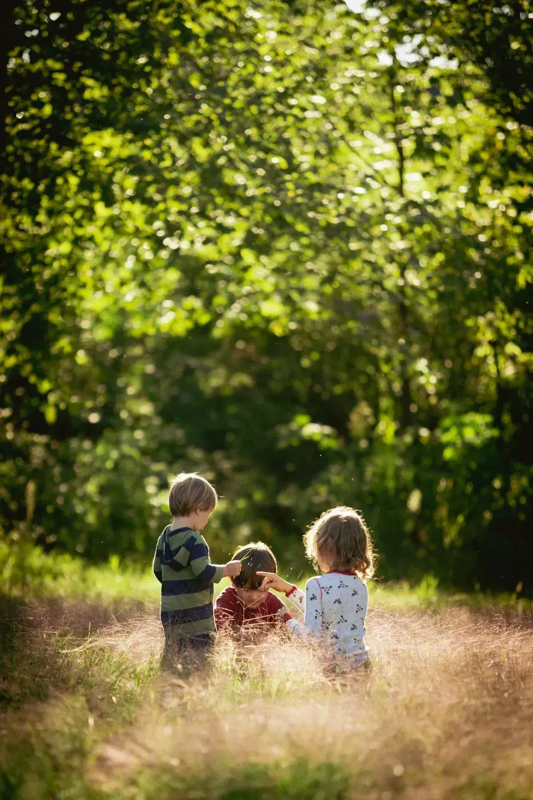 Roaming the Neighborhood Completely Unsupervised (Image Credits: Unsplash)