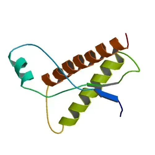 Prions: Proteins That Shouldn't Be Infectious (Image Credits: Wikimedia)