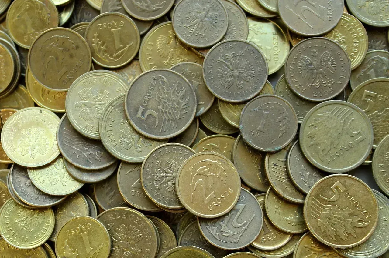 Spend Them While You Still Can (Image Credits: Pixabay)
