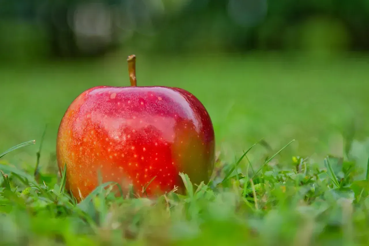 Choosing the Right Apple for Your Health Goals (Image Credits: Pixabay)