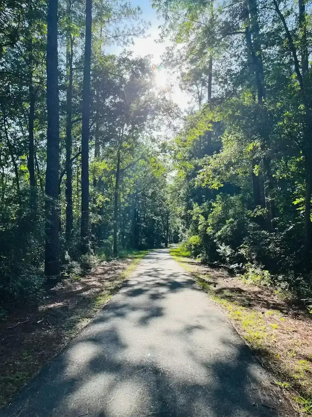 3. Bluffton, South Carolina - Low Country Living, High on Demand (Image Credits: Unsplash)