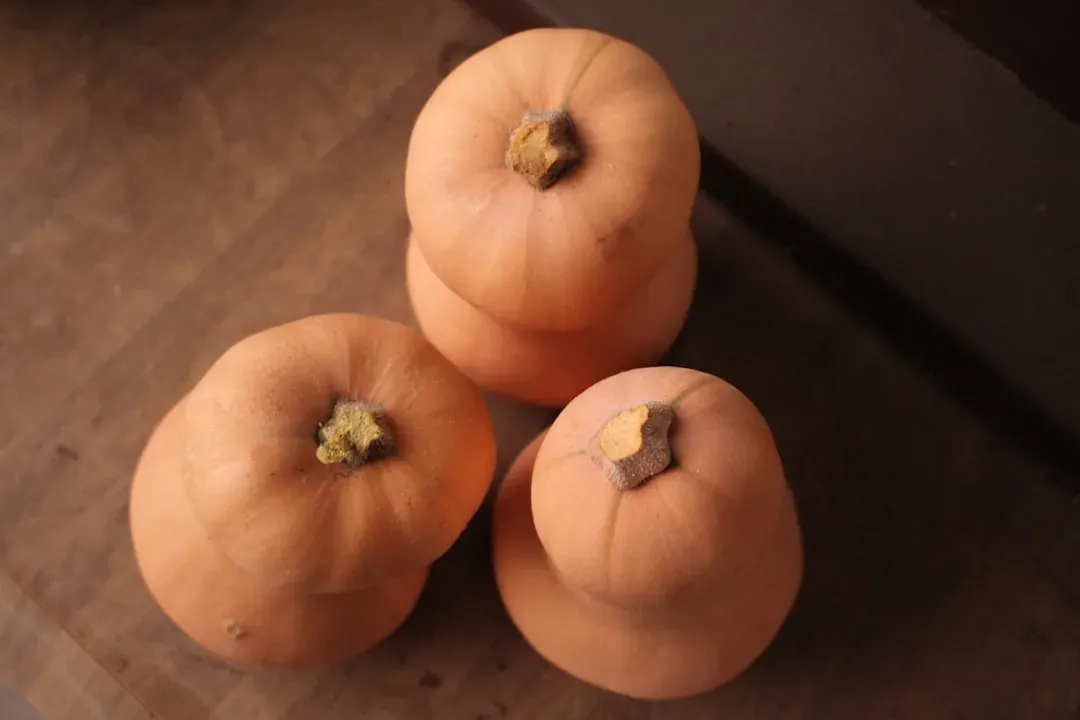 Pumpkin Seeds: The Tiny Powerhouse You Keep Ignoring (Image Credits: Unsplash)