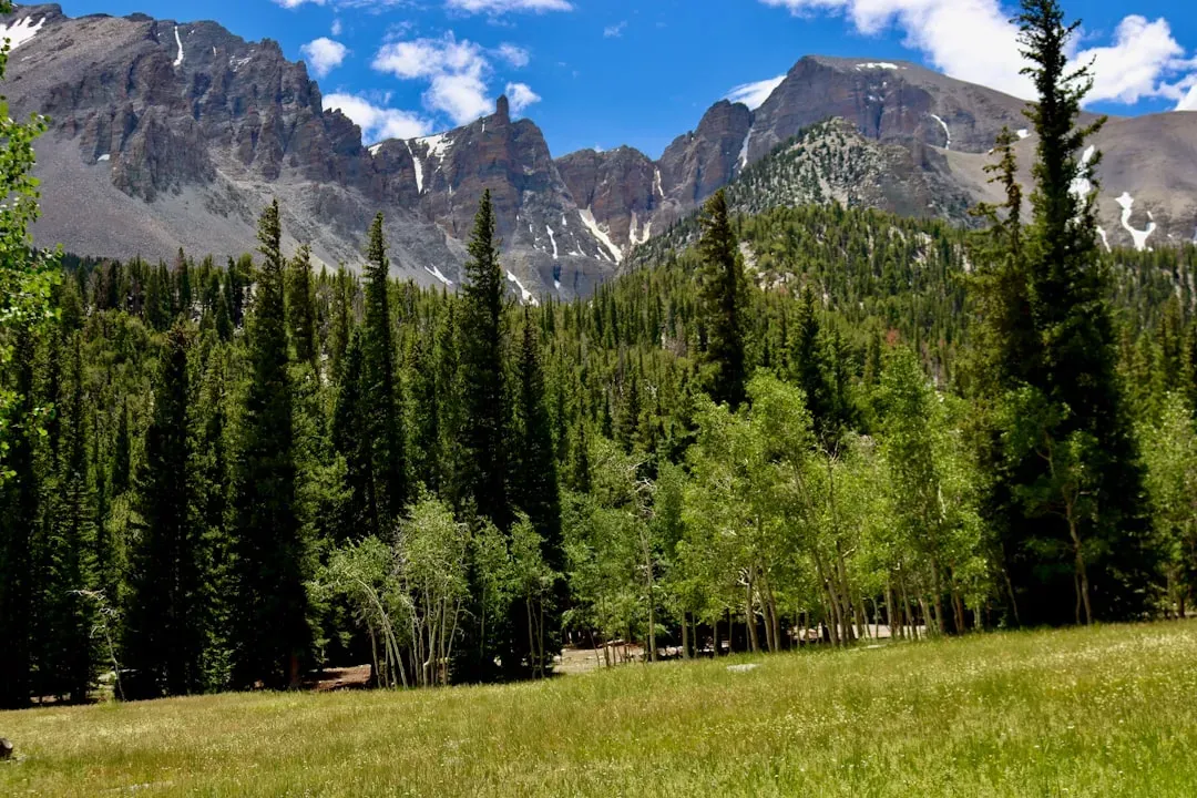 10. Great Basin National Park, Nevada - 152,068 Visits in 2024 (Image Credits: Unsplash)