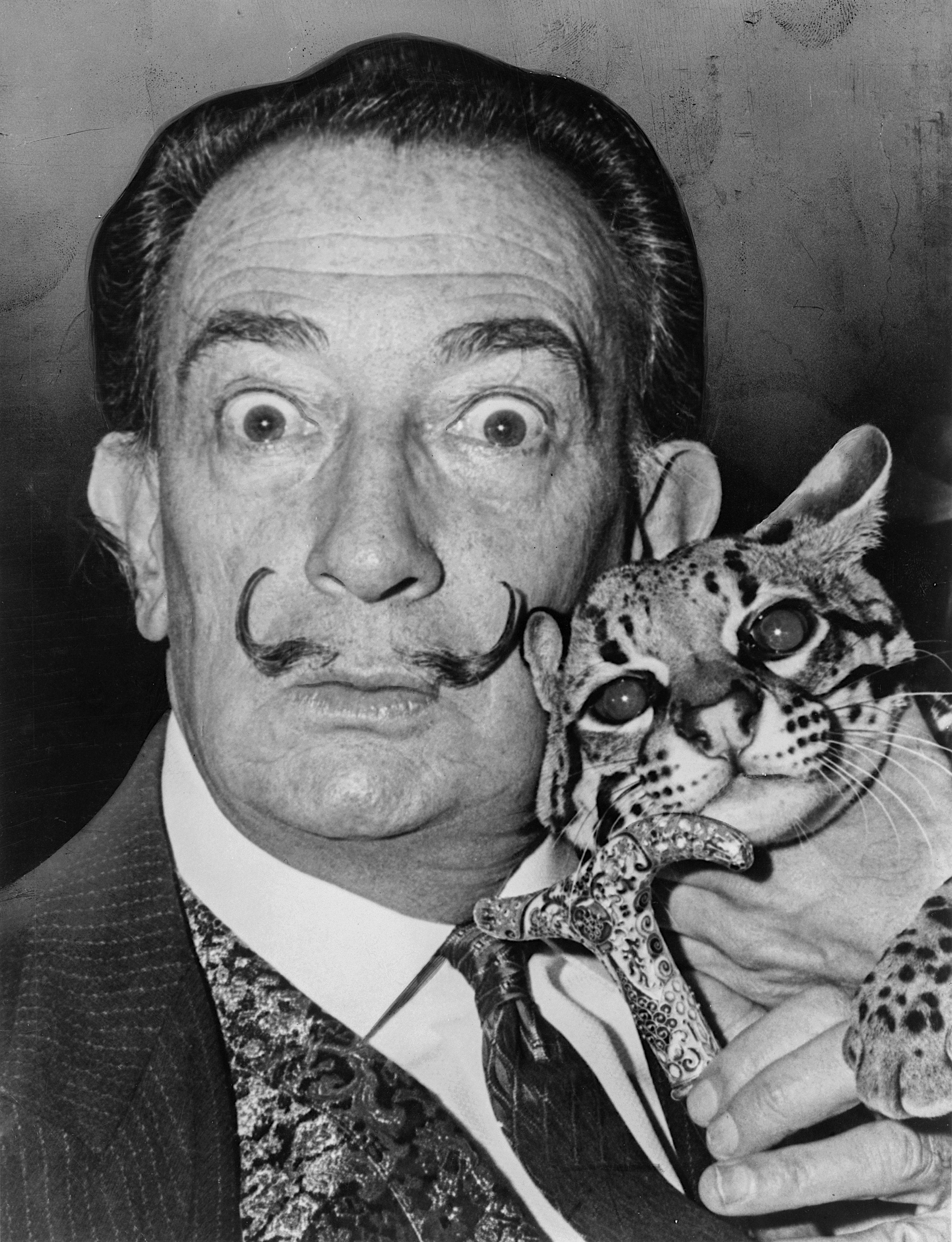 Salvador Dalí: Artist Haunted by Insects (Image Credits: Wikimedia)