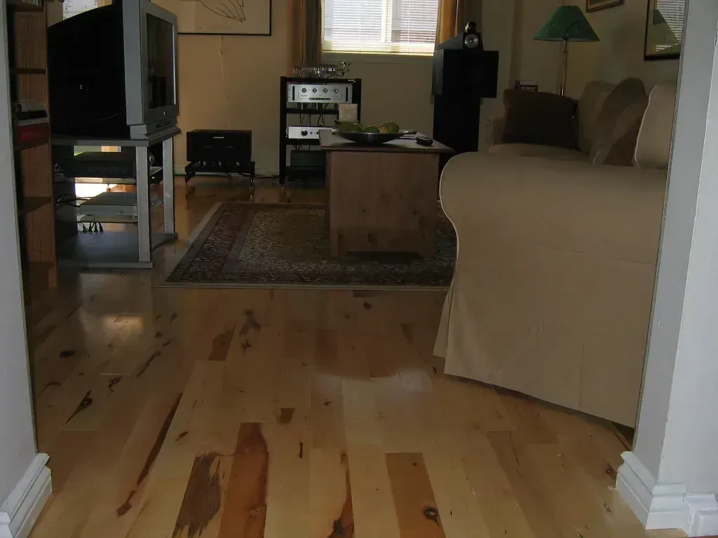 Wall-to-Wall Carpeting (Image Credits: Flickr)