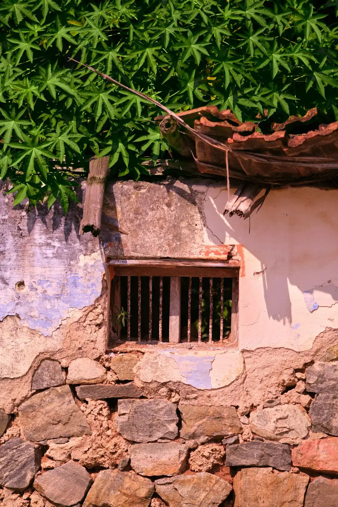 Mature Trees: The Hidden Hazard Above Your Home (Image Credits: Unsplash)