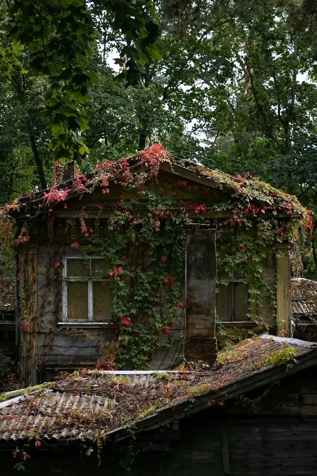 Poor Curb Appeal (Image Credits: Unsplash)