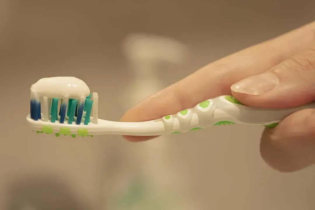 9. The Toothbrush Holder: A Germ Factory Nobody Talks About (Image Credits: Unsplash)