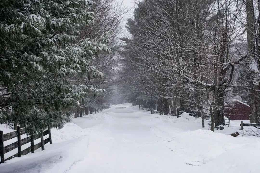 Heated Driveways That Sound Better Than They Are (Image Credits: Unsplash)