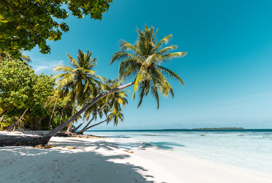 Siquijor Island, Philippines (Image Credits: Unsplash)