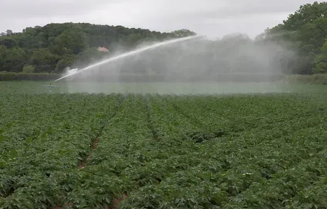 Agriculture: The Thirsty Giant Draining the Nation (Image Credits: Wikimedia)