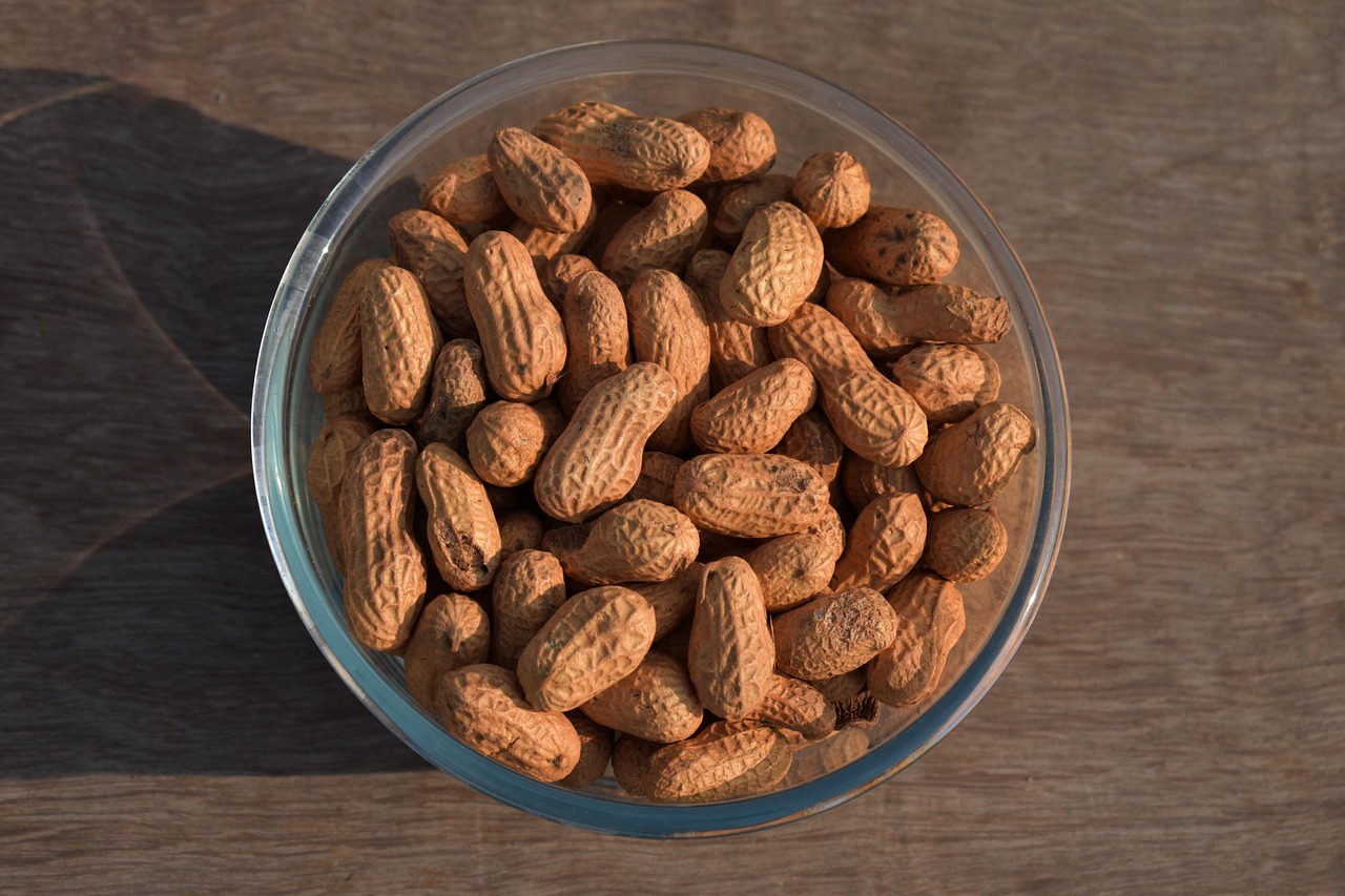 Groundnut Champions in West Africa (Image Credits: Pixabay)