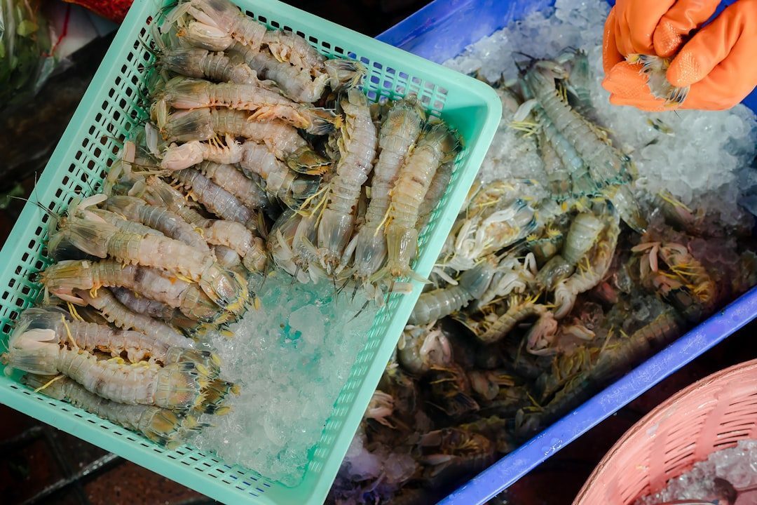 Seafood Transforms Into a Bacterial Breeding Ground (Image Credits: Unsplash)